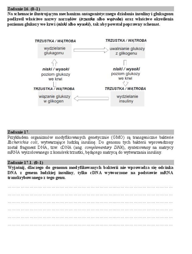 Matura biologia16