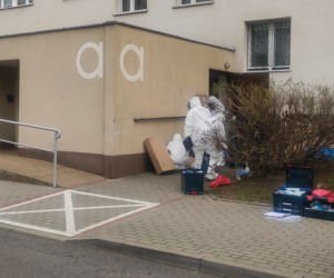 Gdańsk: Morderstwo na Żabiance. 