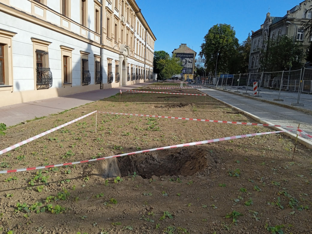 Nasadzenia drzew przy ulicy Piłsudskiego