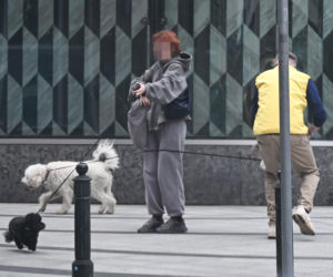 Chajzer kupił luksusowe auto dla psa