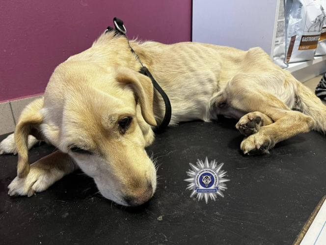 Szokująca interwencja w Chełmie