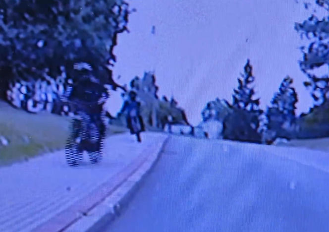 Policjanci z Rybnika skuli w kajdanki 14-latka! Leżał na glebie, twarzą do chodnika. "Winna głupota rodziców"