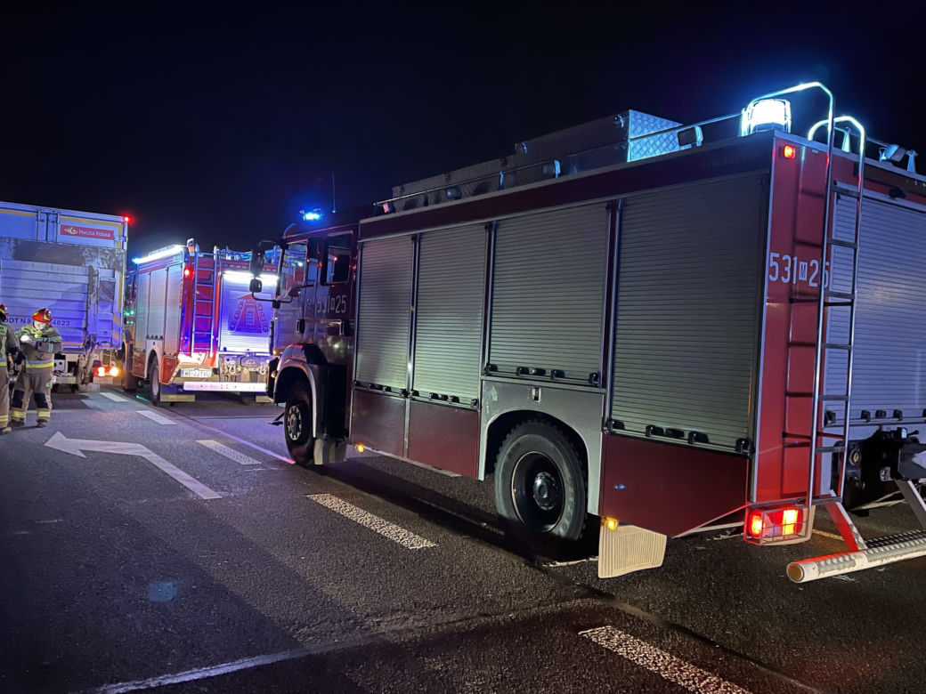 Potężny łoś spowodował karambol pod Warszawą. Zwierzę padło