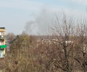Gostynin. POŻAR masarni na ul. Płockiej! Trwa akcja gaśnicza! [ZDJĘCIA]