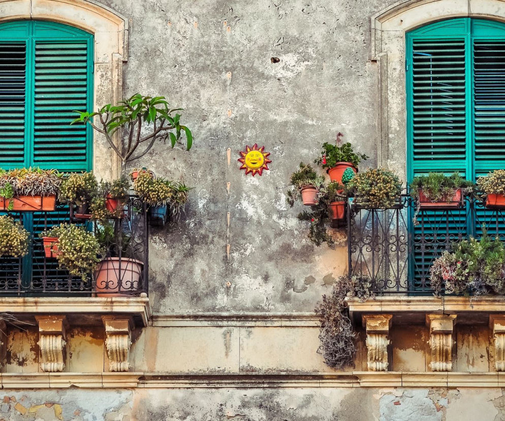Kwiaty na balkon i do ogródu - gdzie zamówić online? [WARSZAWA]