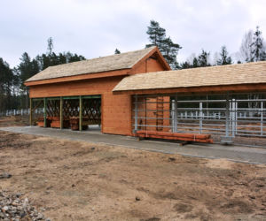 Pokazowa zagroda dla żubrów. Nowa atrakcja Podlasia rośnie w oczach