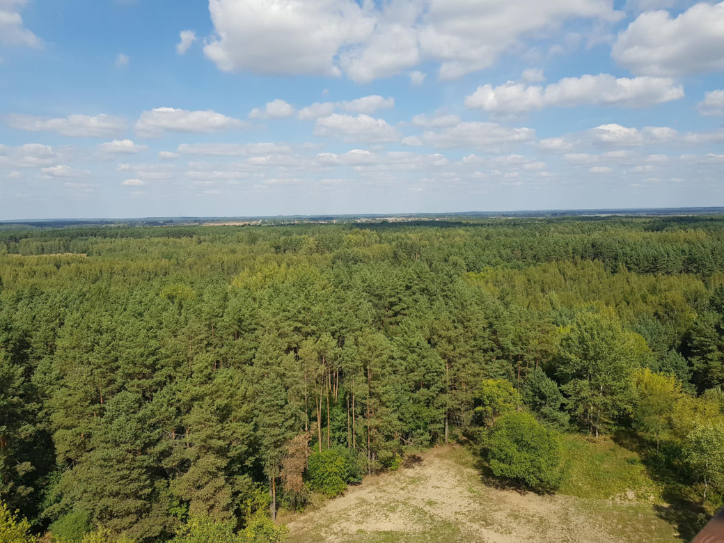 Wieża widokowa w Uhowie. To najwyższa wieża na Podlasiu [ZDJĘCIA]