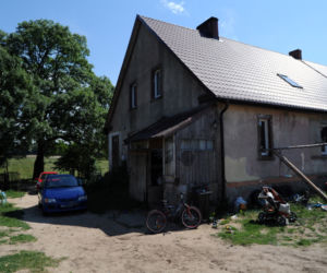 Wilk zjadł psa
