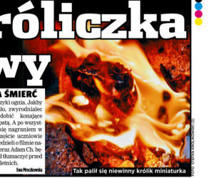 Spalił króliczka dla zabawy