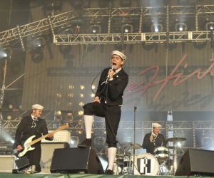 The Hives
