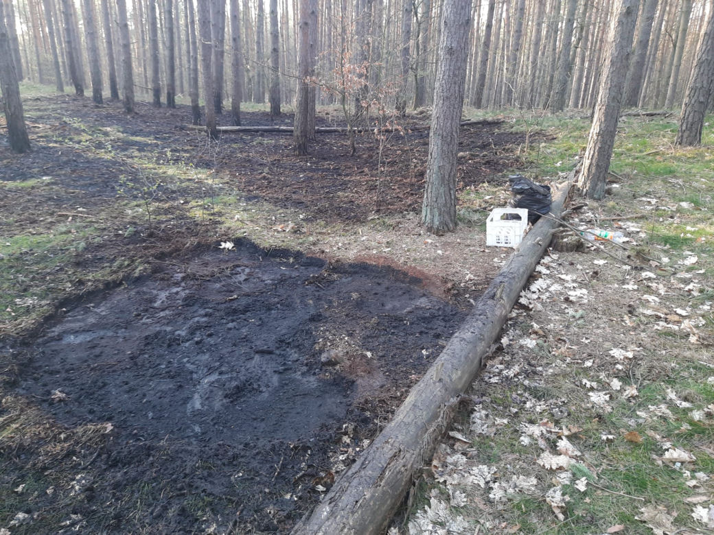O włos od tragedii. Zakrapiane ognisko skończyło się pożarem