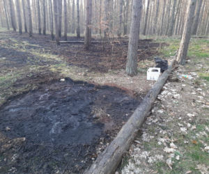 O włos od tragedii. Zakrapiane ognisko skończyło się pożarem