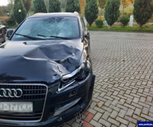 Wypadek na DK 51. Osobówka zderzyła się z łosiem. Zwierzę nie przeżyło [ZDJĘCIA]