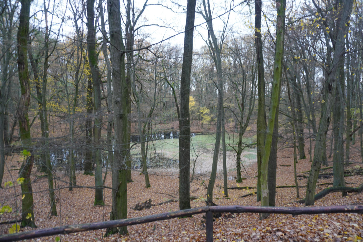 Rezerwat przyrody Meteoryt Morasko