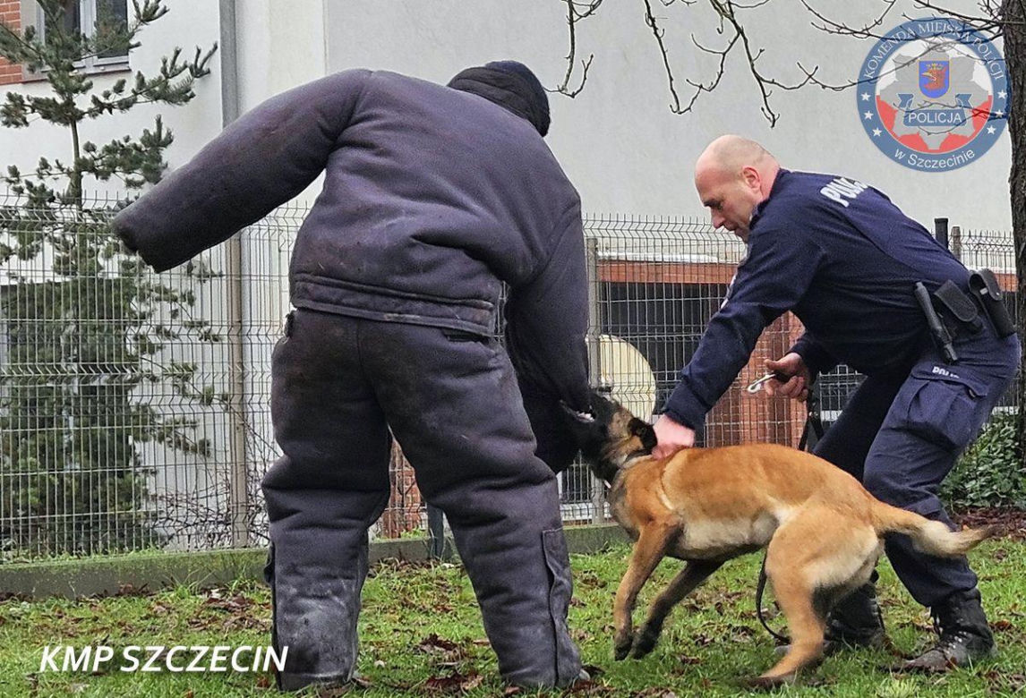 Nowe psy w zachodniopomorskiej policji