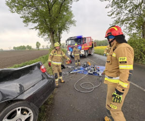 Malborka samochód osobowy z ogromną siłą uderzył w drzewo. Za kierownicą siedziała 19-latka