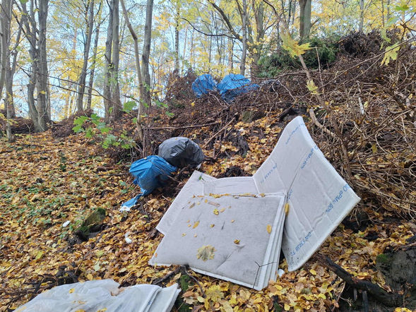 Śmieci w elbląskim lesie