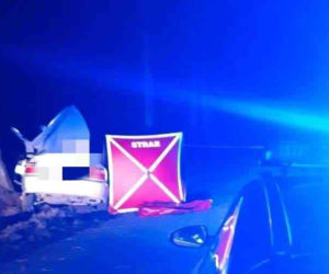 Stryjaki. Kierowca hondy uderzył w słup. Nie żyje