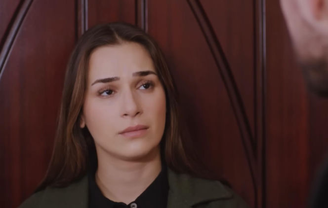 Miłość i nadzieja, odcinek 345. Kuzey, Sila