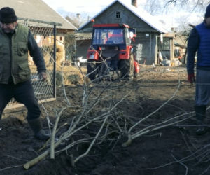 Rolnicy. Podlasie. Andrzej: To wszystko poobcinaj! Na łyso zrób!. Porządkowanie podwórka w Plutyczach