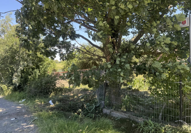 16-latek rozbił samochód. Czworo nastolatków trafiło do szpitala