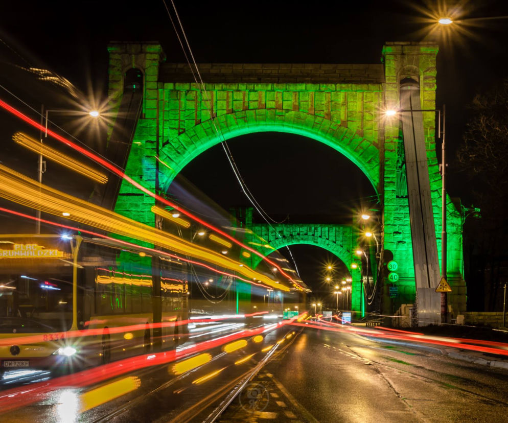 W tym roku to właśnie Wrocław miał najwięcej zielonych obiektów w ramach akcji Global Greening