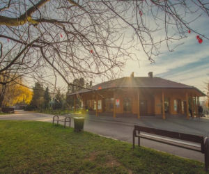 Poziom słodkości przekroczony! Małe gepardy z Chorzowa świetnie się bawią