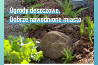 Ogrody deszczowe w Lublinie. Kolejna zielona inicjatywa w mieście