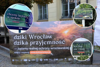 Bzykanie, rżnięcie czy „chcemy mieć mokro”. Kampania wrocławskich ekologów budzi kontrowersje
