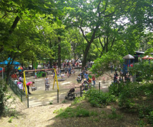 Michayland 2019