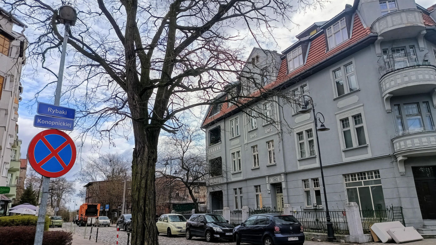 Rybaki, Toruń