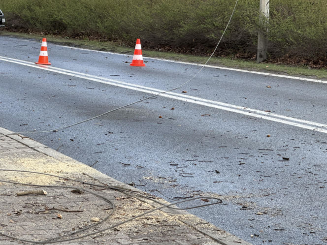 Powalone drzewa i awarie prądu w części województwa