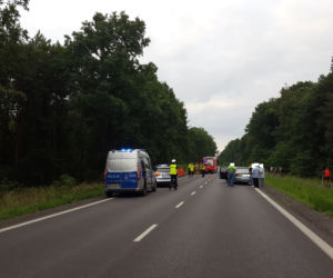 Śmiertelny wypadek na drodze Leszno-Osieczna. Nie żyją dwie osoby 