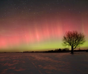 Niesamowite zjawisko nad Świętokrzyskim. Zorza polarna rozświetliła niebo!