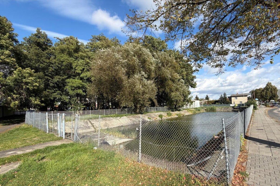 Na Gronowie powstanie park z podwieszaną kładką
