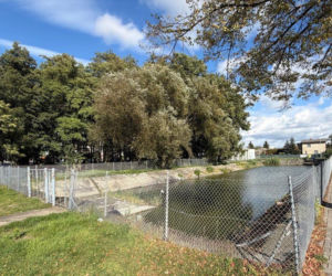 Na Gronowie powstanie park z podwieszaną kładką