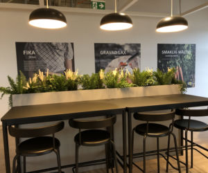 IKEA w Szczecinie - styczeń 2021