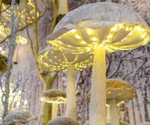 Christmasworld