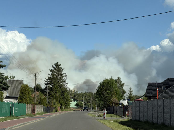 Wielki pożar pod Warszawą. Strażacy walczą z żywiołem