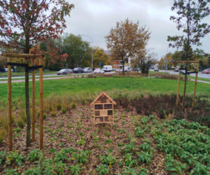 Park kieszonkowy w Siedlcach przy ul. Brzeskiej