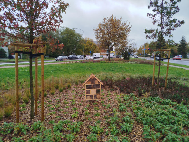 Park kieszonkowy w Siedlcach przy ul. Brzeskiej