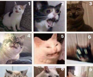 Memy Wielkanoc 2020