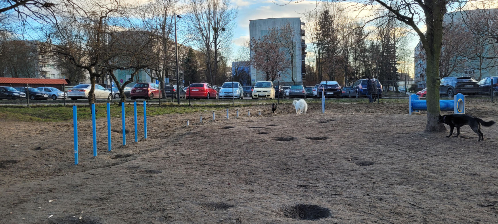 Psi park w Parku Podolskim w Łodzi