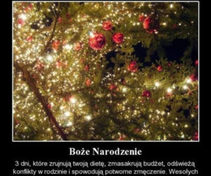 Boże Narodzenie 2021 - najlepsze świąteczne MEMY