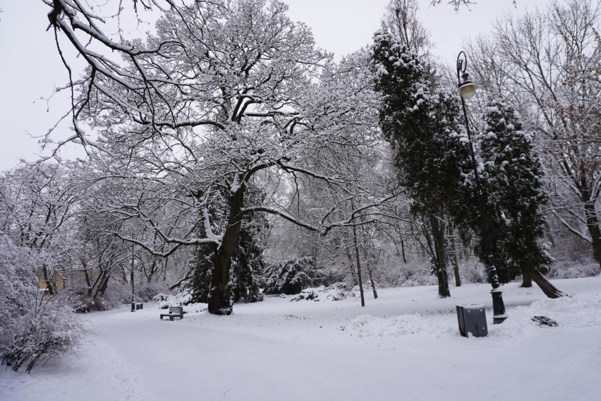 Białystok pod śniegiem. Tak prezentuje się zasypana stolica Podlasia