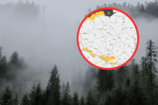 Gęsta mgła nadciąga nad Pomorze. IMGW wydało żółte alerty. Zobacz mapę! 