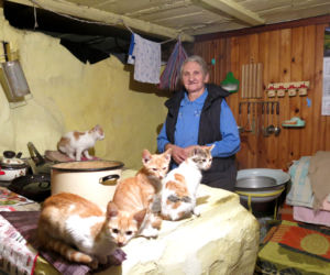 Leokadia Soroka (79 l.), Olszanka (woj. podlaskie)