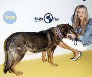 Goście Zespołu ds. Ochrony Zwierząt w Sejmie