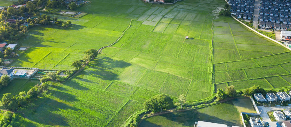 Widok niezabudowanych działek budowlanych z lotu ptaka
