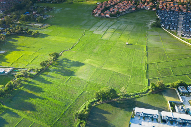 Widok niezabudowanych działek budowlanych z lotu ptaka